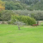 Quinta Do Scoto Bed and Breakfast 4*