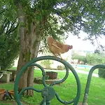 Quinta Do Scoto Bed and Breakfast Rinchoa