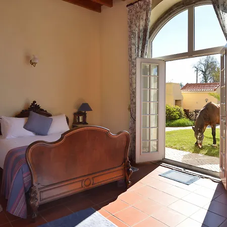 多斯科托乡村宅邸酒店 4* Rinchoa