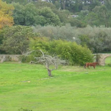 Quinta Do Scoto Bed and Breakfast 4*