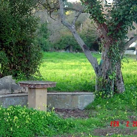 فندق مبيت وإفطار Quinta Do Scoto