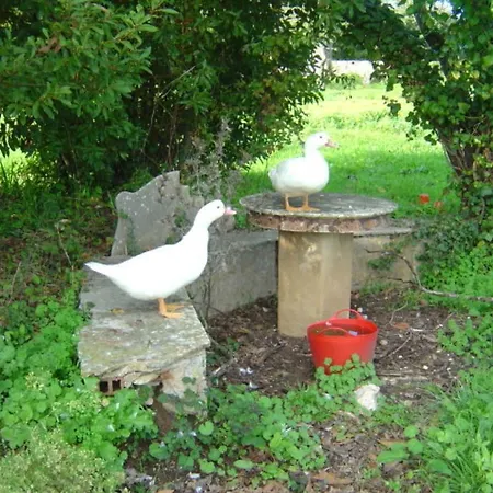 Quinta Do Scoto Panzió Rinchoa
