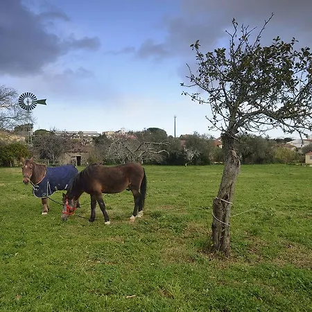 Quinta Do Scoto 4* Rinchoa