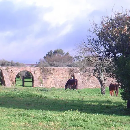 Quinta Do Scoto 4* Rinchoa