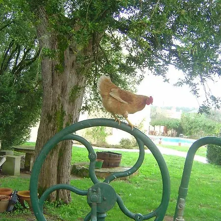 Quinta Do Scoto Bed & Breakfast Rinchoa