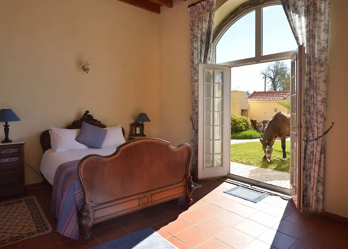 多斯科托乡村宅邸酒店 4* Rinchoa