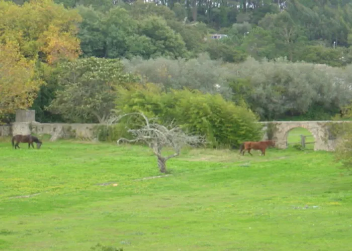 多斯科托乡村宅邸酒店 住宿加早餐酒店 4*