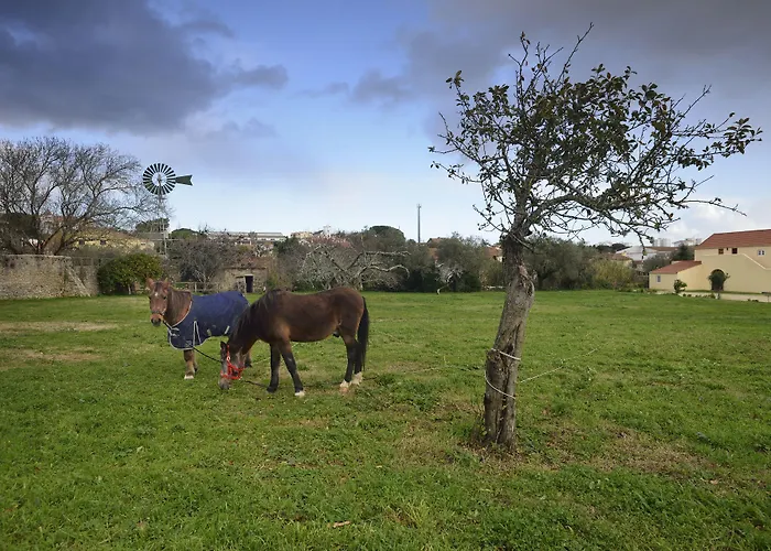 Quinta Do Scoto Rinchoa