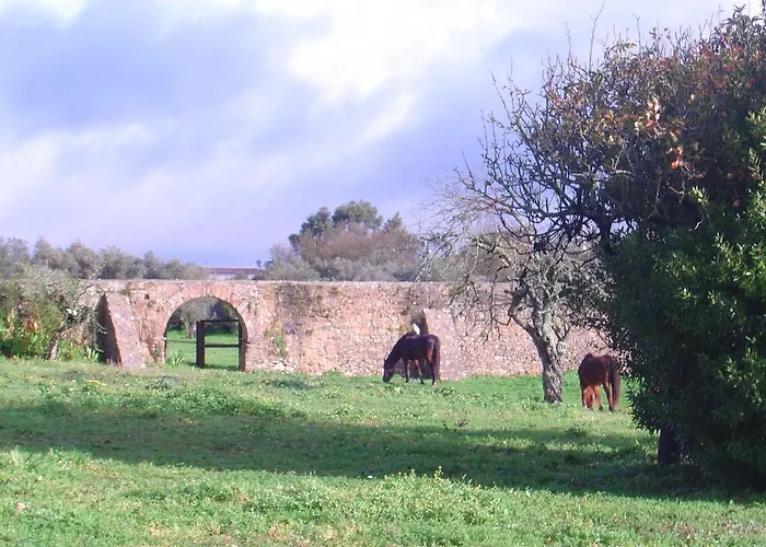 Quinta Do Scoto 4* Rinchoa