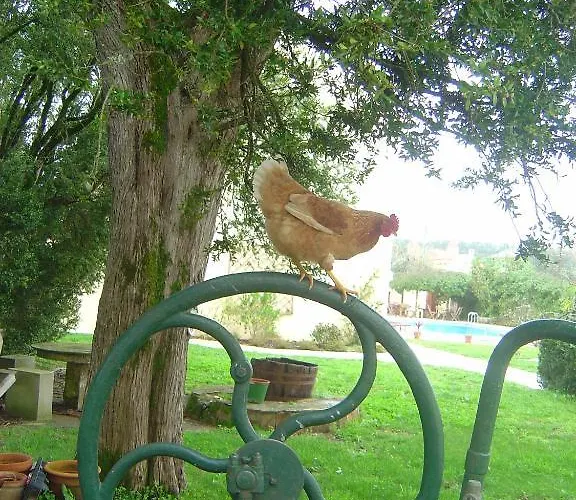 Quinta Do Scoto Bed and Breakfast Rinchoa